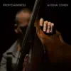 Avishai Cohen - From Darkness